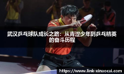 武汉乒乓球队成长之路:从青涩少年到乒乓精英的奋斗历程